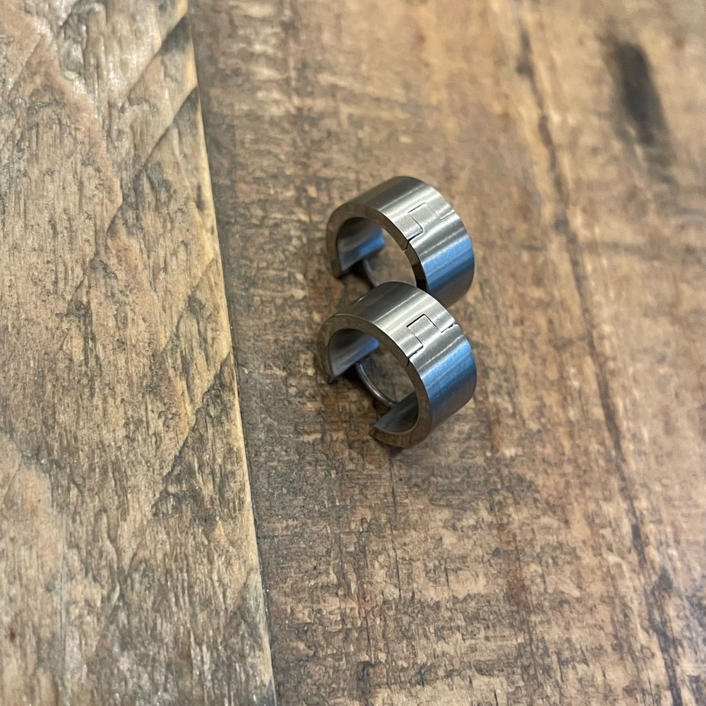 Titanium Earrings - image 1